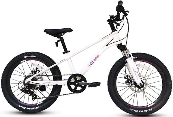 Xe đạp trẻ em Gorobike Raptor Plus 20